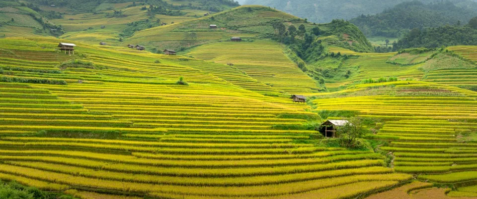 Kho gạo của Nguyễn Thị Nhẫn 64